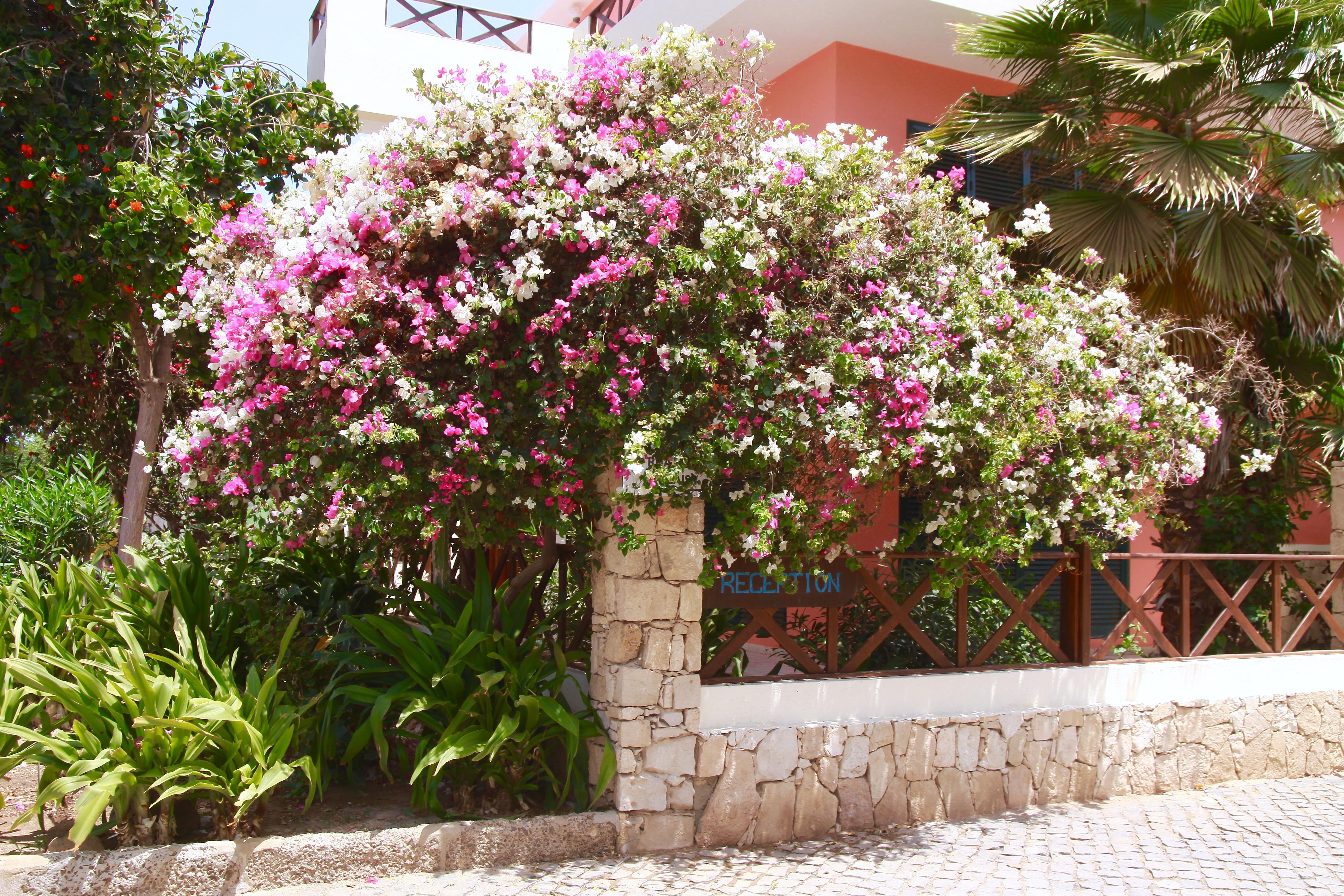 Aparthotel Ponta Preta Santa Maria Ngoại thất bức ảnh